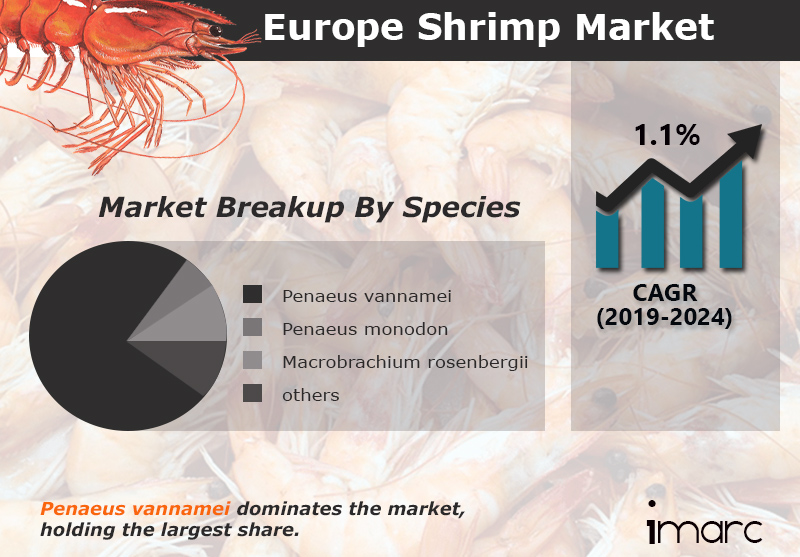 European Shrimp Market Report, Industry Overview, Growth Rate and Forecast 2024 - IMARC Group