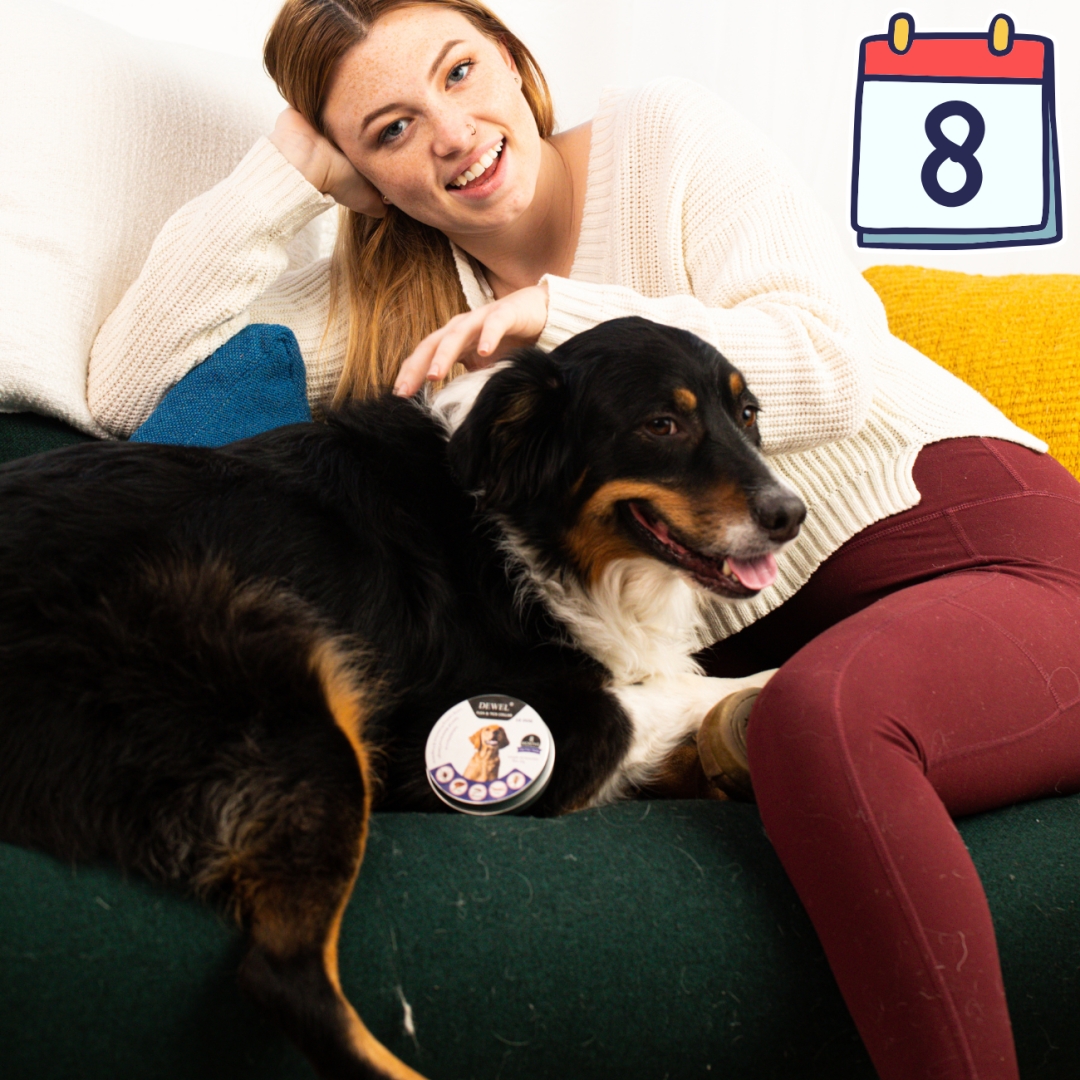 Pet Owners With Health-Sensitive Households Are Turning to DEWEL Flea Collar as the Safer Long-Term Solution Pet Owners With Health-Sensitive Households Are Turning to DEWEL Flea Collar as the Safer Long-Term Solution