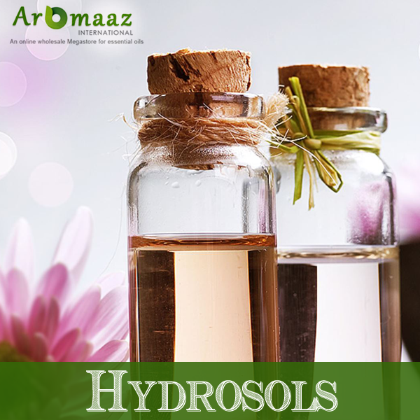 Aromaaz International Explains the Growing Demand of Ginger Hydrosols 