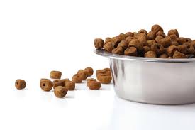 Dog Food Market â€“ Know Target Segments by End-user & Product Type That are Hot Again