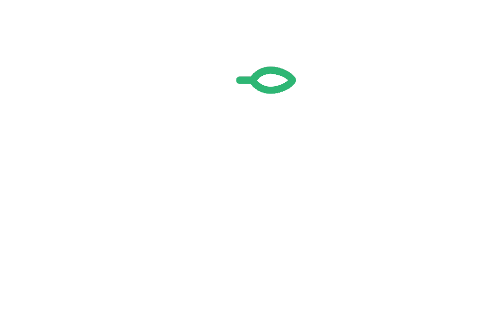 Cannabiz Offers Experts Hemp and Cannabis Company Collection Services 