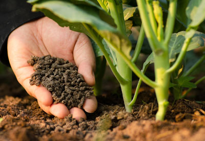 Indian Fertilizer Market is Expected to Reach INR 11,116 Billion by 2024 - IMARC Group