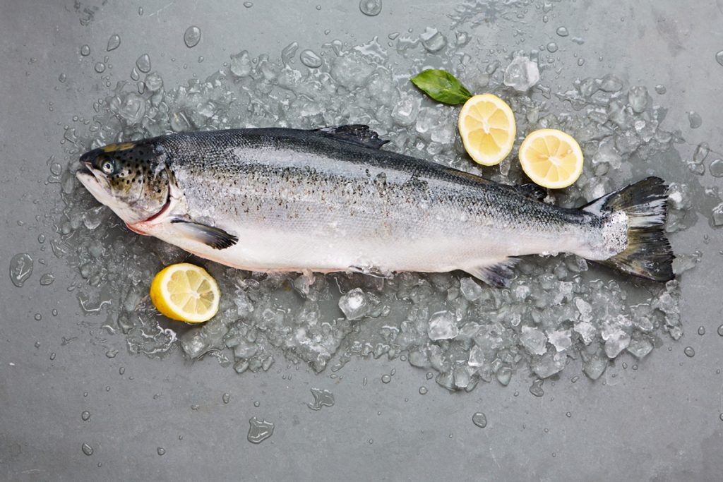 Salmon Market (Farmed and Wild) Market Report, Industry Overview, Growth Rate, Forecast and Analysis of Key players 2024