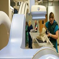 Veterinary Diagnostic Imaging Market SWOT Analysis by 2025