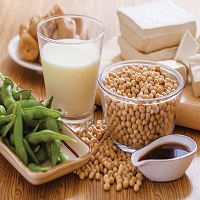Soy Food Products Market Research Capital expenditure, SWOT Analysis including key players Hain Celestial Group, Miracle Soybean Food International, Nordic Soy Oy, Freedom Food Group