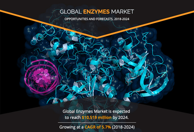Enzymes Market Has Huge growth at CAGR of 5.7% upto 2024| Top 3 players are Novozymes A/S, Koninklijke DSM N.V., DowDuPont