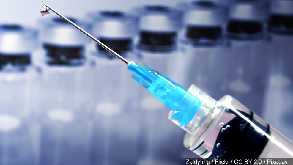 Excellent Growth in Influenza Vaccination Market 2019: Current Trends and Future Demand 2023| Abbott, AstraZeneca, BioCryst Pharmaceuticals, Novartis and Etc