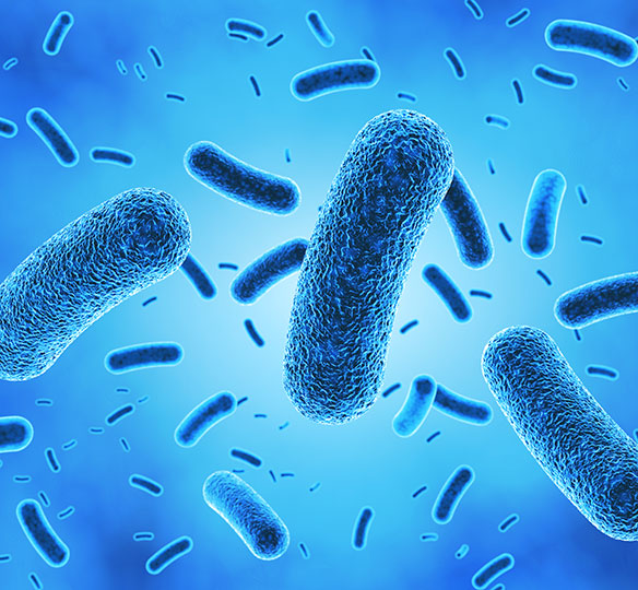 Antimicrobial Coatings Market Size Worth US$ 5.4 Billion by 2024 | CAGR 11.5% - IMARC Group Antimicrobial Coatings Market Size Worth US$ 5.4 Billion by 2024 | CAGR 11.5% - IMARC Group
