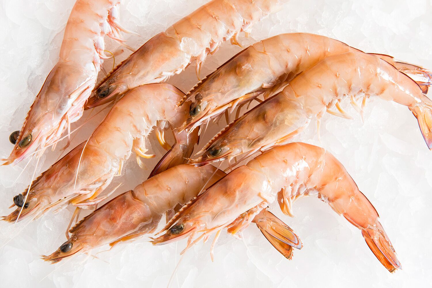 Prawn Market Report, Global Industry Overview, Growth, Trends, Opportunities and Forecast 2019-2024