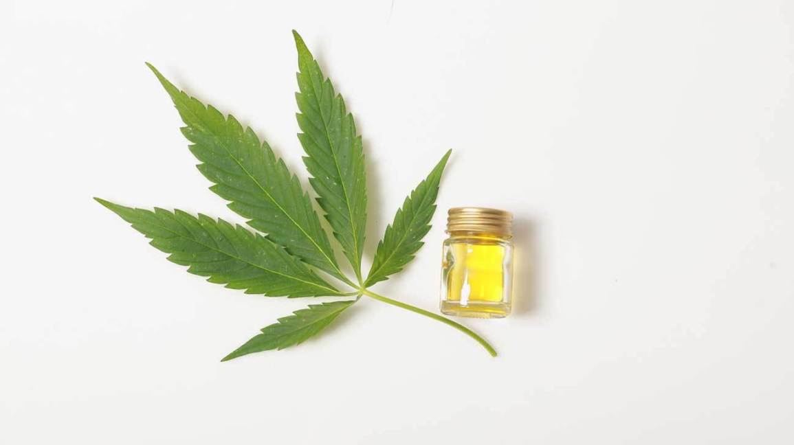 CBD Massage Oil Global Market By Top Key Players, Size, Segmentation, Projection, Analysis And Forecast To 2024 