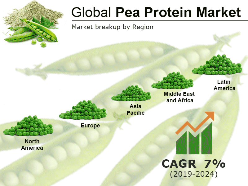 Pea Protein Market Report, Global Industry Overview, Growth, Opportunities and Forecast 2019-2024 Pea Protein Market Report, Global Industry Overview, Growth, Opportunities and Forecast 2019-2024