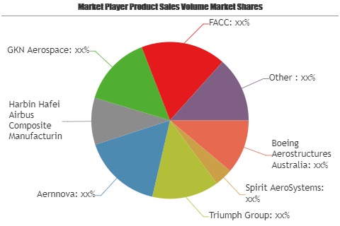 Stay Tuned with the Epic Battle in the Aerospace Control Surface Market | Boeing Aerostructures Australia, Spirit AeroSystems, Triumph