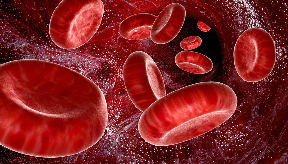Artificial Blood Market Product Overview and Significant Growth in forthcoming Year 2019-2026