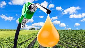 Biodiesel Market 2019: Global Key Players, Trends, Share, Industry Size, Segmentation, Opportunities, Forecast To 2025	