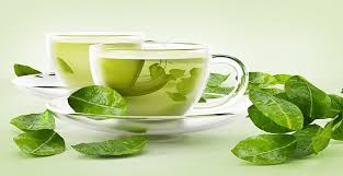 Green Tea Leaves Market Status, Regional Demand and Forecast by 2020-2024: Stash Tea, Yogi Tea, Numi, Organic India 