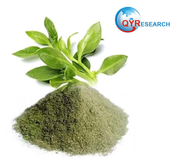 Andrographis Paniculata Extract Upcoming Trends in the next few years