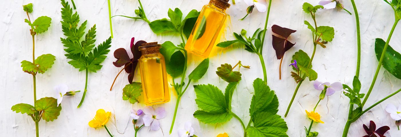 Natural Extracts Market Forecast to 2026 | Venkatesh Naturals, ADM WILD Europe GmbH & Co.KG, Green Natural Extracts., Provital Group, NPE, Bhoomi Naturals, Asean Aromatics Pvt Ltd
