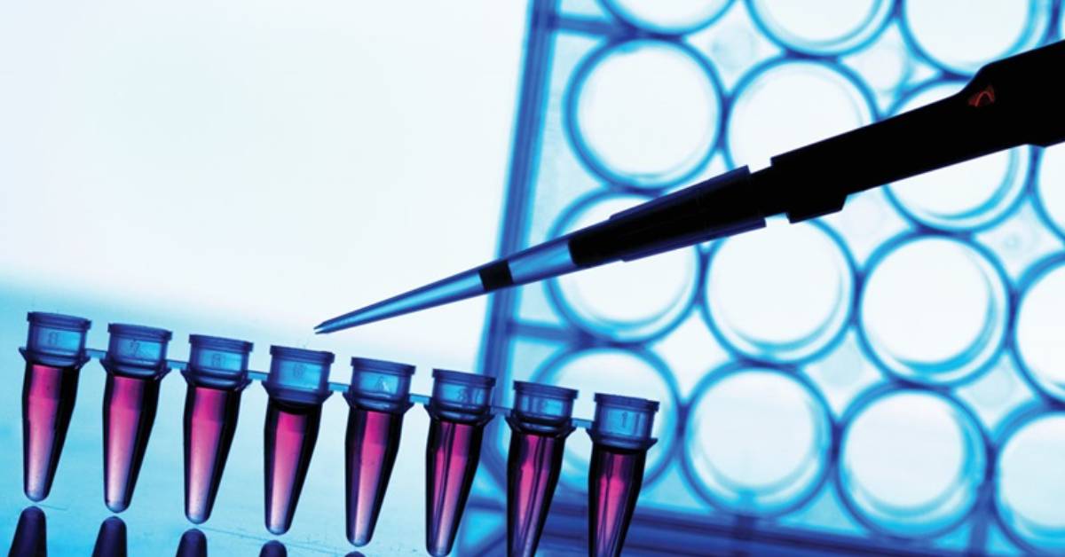 Liquid Biopsy Diagnostic Market - The One Step Diagnostic Test for Cancer