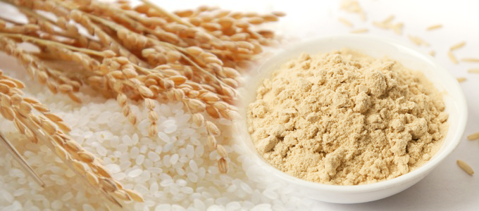 7.1 CAGR | Rice Protein Market Getting Back To Growth | Axiom Foods, Wuxi Jinnong Biotechnology, Anhui Shunxin Shengyuan
