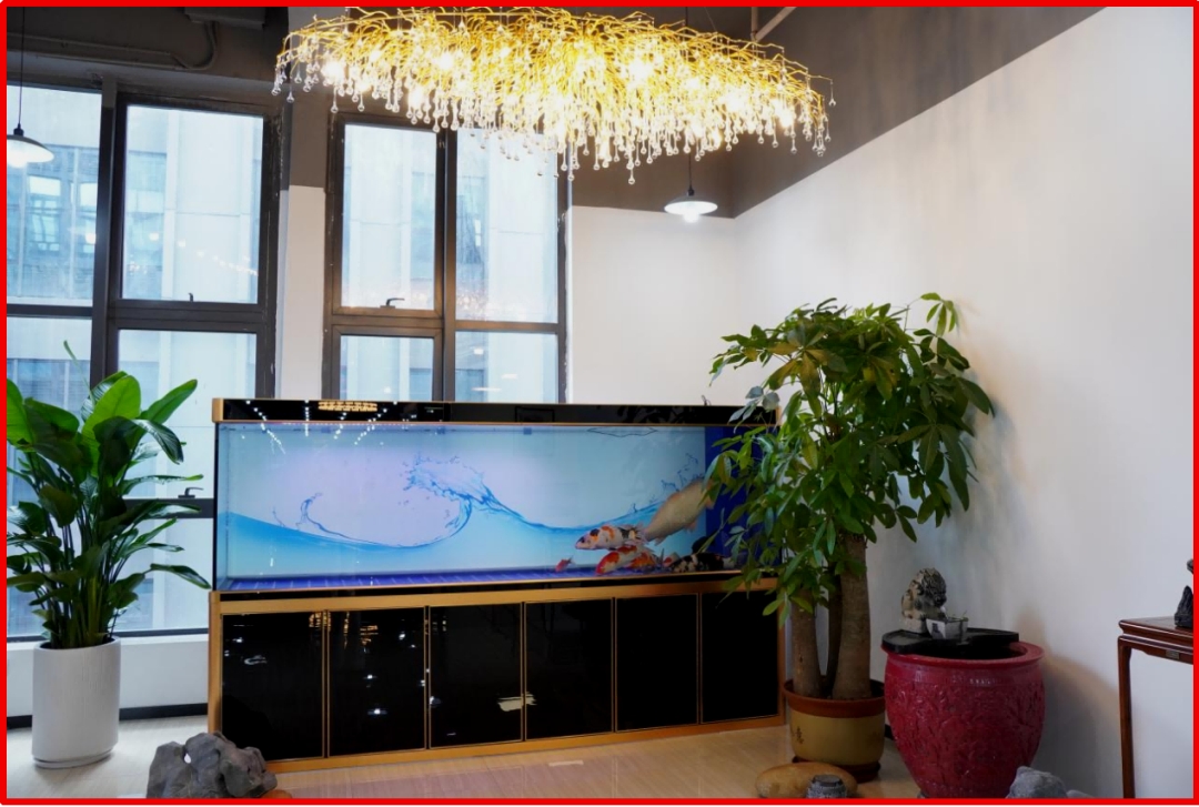 A cozy corner of the office — the perfect place to relax and unwind.