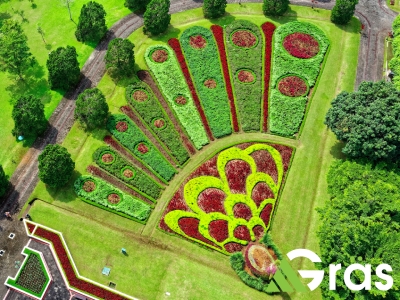 Gras Lawn Enhances West Palm Beach Businesses with Sustainable Commercial Landscaping Solutions Gras Lawn Enhances West Palm Beach Businesses with Sustainable Commercial Landscaping Solutions