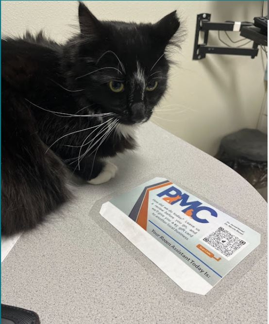 Pet Medical Center Brings Home Top-Rated Service Award for Veterinary Pet Clinic in Ames, Expanding Reputation Across Nevada, Huxley, and Story City Pet Medical Center Brings Home Top-Rated Service Award for Veterinary Pet Clinic in Ames, Expanding Reputation Across Nevada, Huxley, and Story City