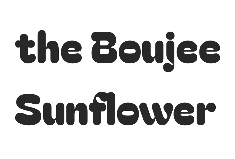 Online Boutique The Boujee Sunflower Cultivates Confident Style Through Casual Glamour Collections Online Boutique The Boujee Sunflower Cultivates Confident Style Through Casual Glamour Collections