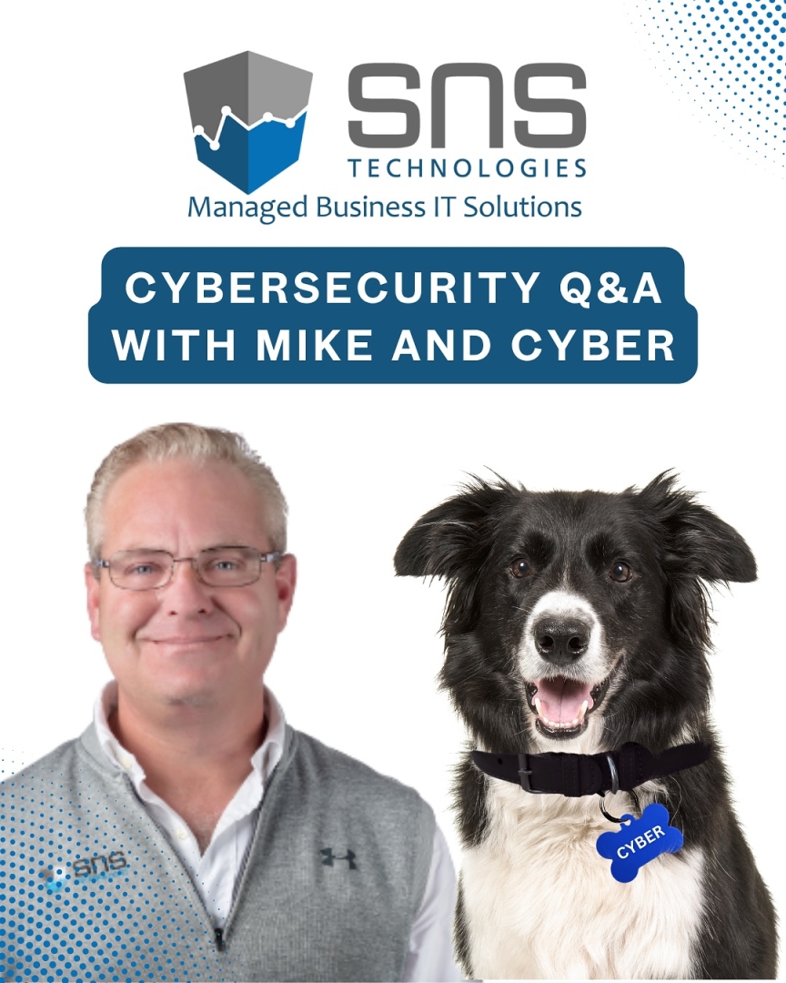 SNS Technologies - Winter Brings New Cybersecurity Concerns, and SNS’s Mascot "Cyber" Weighs In SNS Technologies - Winter Brings New Cybersecurity Concerns, and SNS’s Mascot "Cyber" Weighs In