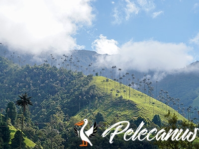 "Stop Booking Blind": Digital-First Operator Exposes Low Industry Standards, Demands Tour Agents Know Their Own Country "Stop Booking Blind": Digital-First Operator Exposes Low Industry Standards, Demands Tour Agents Know Their Own Country