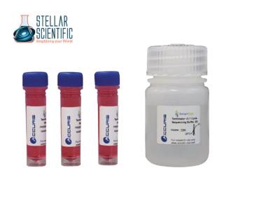 Stellar Scientific Adds Accuris SmartDye™ Terminator v3.1 to Catalog for Cost-Effective Sanger Sequencing Stellar Scientific Adds Accuris SmartDye™ Terminator v3.1 to Catalog for Cost-Effective Sanger Sequencing