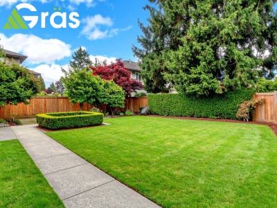 Transforming Workspaces: Gras Lawn’s Landscaping Services Improve Employee Well-being and Productivity for Local Businesses Transforming Workspaces: Gras Lawn’s Landscaping Services Improve Employee Well-being and Productivity for Local Businesses