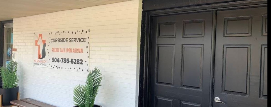 Normandy Animal Hospital Expands Premier Veterinarian Care from Greensburg to Bryceville Normandy Animal Hospital Expands Premier Veterinarian Care from Greensburg to Bryceville