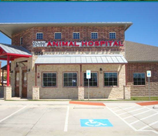 Country Creek Animal Hospital Unveils State-Of-The-Art Veterinarian Expansion To Meet The Growing Needs Of Allen Near Watters Crossing Country Creek Animal Hospital Unveils State-Of-The-Art Veterinarian Expansion To Meet The Growing Needs Of Allen Near Watters Crossing