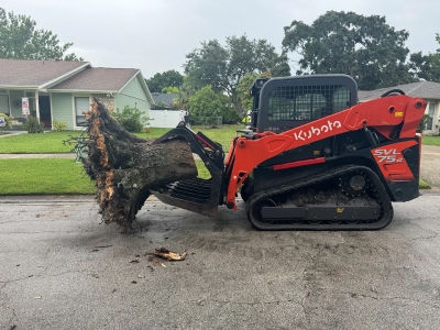 JDW Outdoors Tree & Land Services Expands Stump Grinding Operations in Winter Park JDW Outdoors Tree & Land Services Expands Stump Grinding Operations in Winter Park