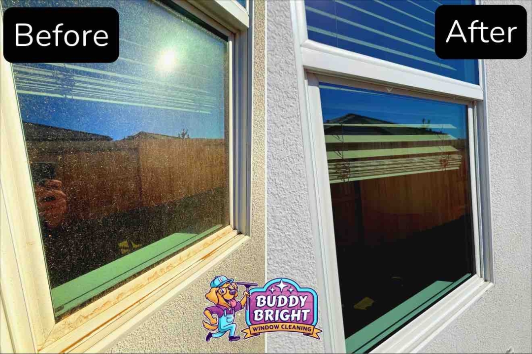 Roseville Native Builds Greater Sacramento's Most Trusted Window Cleaning Company - Achieving Perfect 5.0 Rating While Serving Neighbors in Folsom, El Dorado Hills, and Placer County Roseville Native Builds Greater Sacramento's Most Trusted Window Cleaning Company - Achieving Perfect 5.0 Rating While Serving Neighbors in Folsom, El Dorado Hills, and Placer County