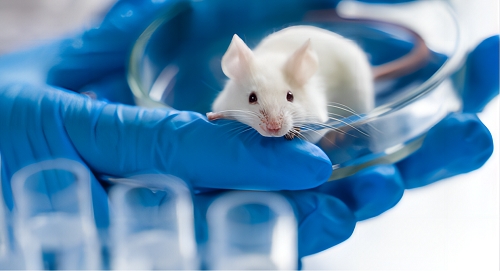 Precision Meets Affordability, Ace Therapeutics Unveils In Vivo Efficacy Testing Services for IBD Drug Candidates Precision Meets Affordability, Ace Therapeutics Unveils In Vivo Efficacy Testing Services for IBD Drug Candidates