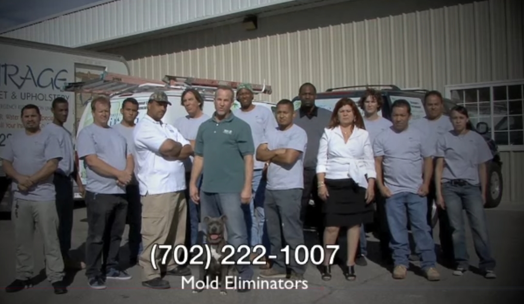 Mold Eliminators Provides IICRC-Certified Water Damage and Mold Remediation Services in Las Vegas Mold Eliminators Provides IICRC-Certified Water Damage and Mold Remediation Services in Las Vegas
