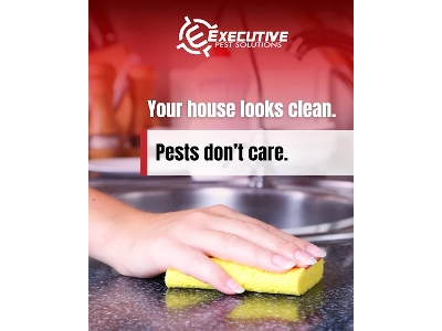 Arizona Rodent Removal Specialists Document Sharp Decline in Property Damage Following Prevention-Based Approach Arizona Rodent Removal Specialists Document Sharp Decline in Property Damage Following Prevention-Based Approach