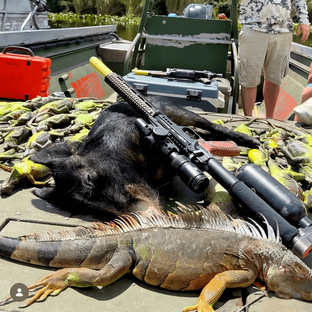 Florida Iguana Control Experts Cite EDgun West Leshiy 2 as a Leading Airgun Platform Florida Iguana Control Experts Cite EDgun West Leshiy 2 as a Leading Airgun Platform