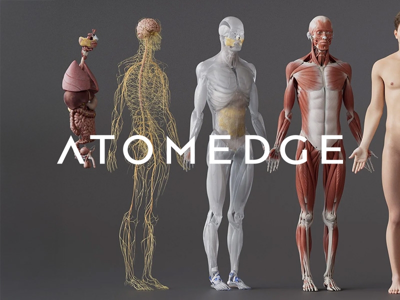 Atom Edge Wins Xero Beautiful Business Fund for Innovative 3D Anatomy Model Atom Edge Wins Xero Beautiful Business Fund for Innovative 3D Anatomy Model
