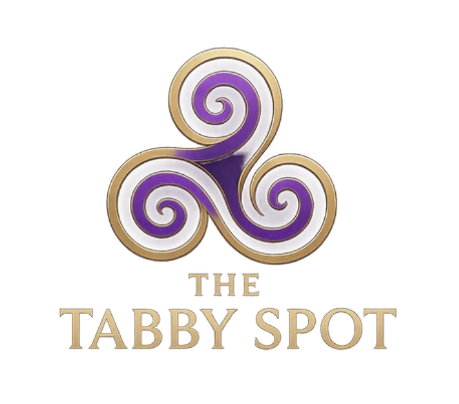 The Tabby Spot Redefines Online Shopping with Signature Editorial Curation and Multi‑Channel Expansion The Tabby Spot Redefines Online Shopping with Signature Editorial Curation and Multi‑Channel Expansion