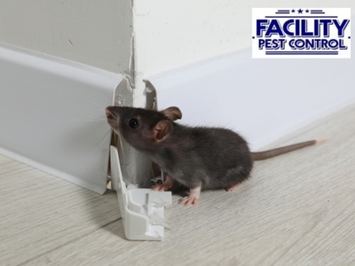 Facility Pest Control Provides Trusted Pest Solutions to Simi Valley Residents and Businesses
