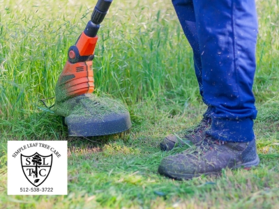 Simple Leaf Tree Care’s Expert Tree Trimming Services Enhance the Beauty and Safety of Wimberley, TX Homes