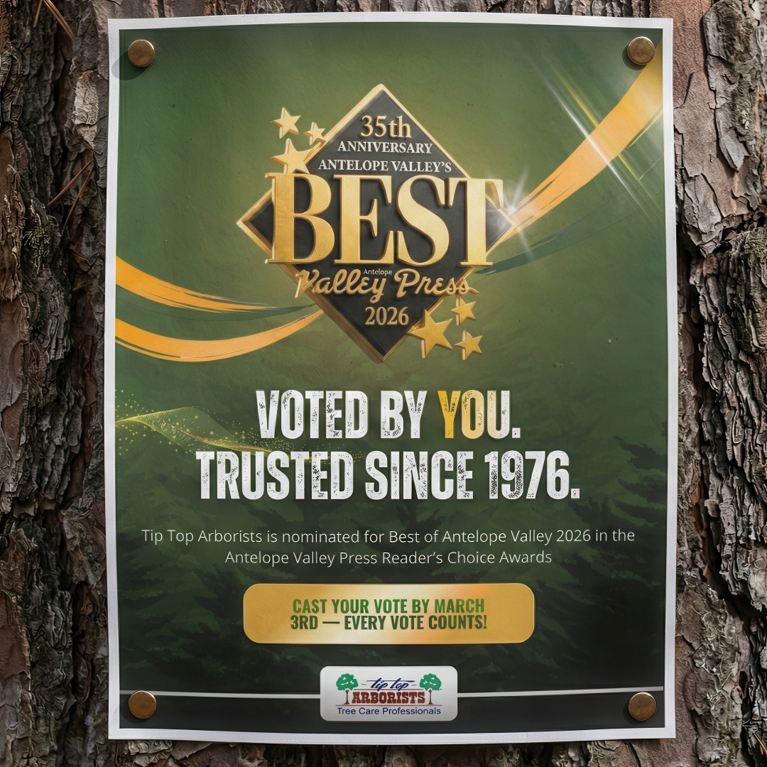 Half a Century of Roots: Antelope Valley Honors Tip Top Arborists with “Best of 2026” Nomination