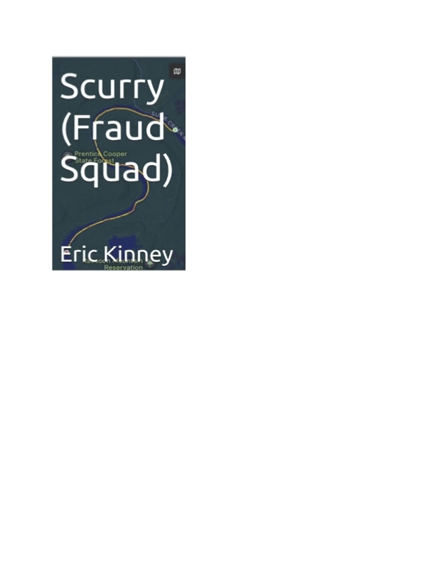 Novel Scurry (Fraud Squad) Delivers a Pulse-Pounding Fintech Thriller Ripped from the Headlines of Financial Crime. Fintech Fraud Expert Exposes the Dark Side of Silicon Valley’s “996 BRO” Culture