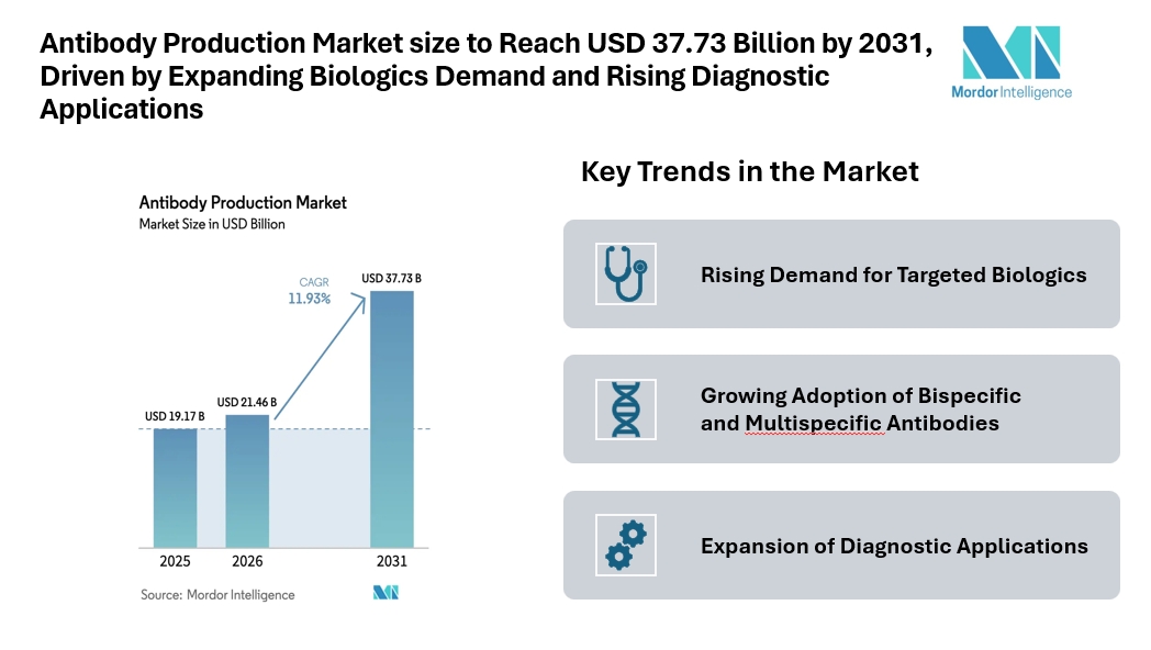 Antibody Production Market size to Reach USD 37.73 Billion by 2031, Driven by Expanding Biologics Demand and Rising Diagnostic Applications Antibody Production Market size to Reach USD 37.73 Billion by 2031, Driven by Expanding Biologics Demand and Rising Diagnostic Applications