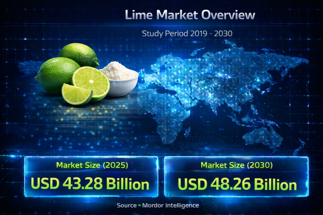 Lime Market Size to Reach USD 48.26 Billion by 2030, Driven by Expanding Food, Beverage, and Industrial Demand Lime Market Size to Reach USD 48.26 Billion by 2030, Driven by Expanding Food, Beverage, and Industrial Demand