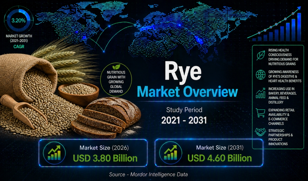 Rye Market Size to Reach USD 4.60 Billion by 2031, Growing at 4.20% CAGR, Driven by Bakery Demand, Distilling Use, and Feed Applications Rye Market Size to Reach USD 4.60 Billion by 2031, Growing at 4.20% CAGR, Driven by Bakery Demand, Distilling Use, and Feed Applications
