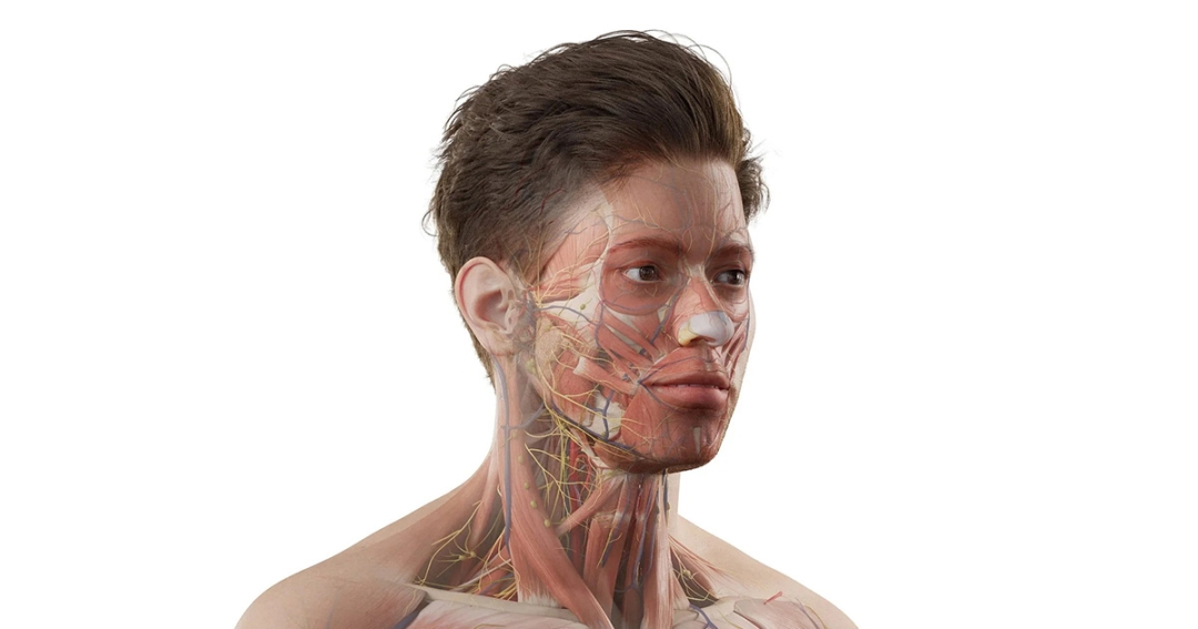 Atomedge Highlights Early Contribution to Groundbreaking AR Anatomy Education Initiative Atomedge Highlights Early Contribution to Groundbreaking AR Anatomy Education Initiative