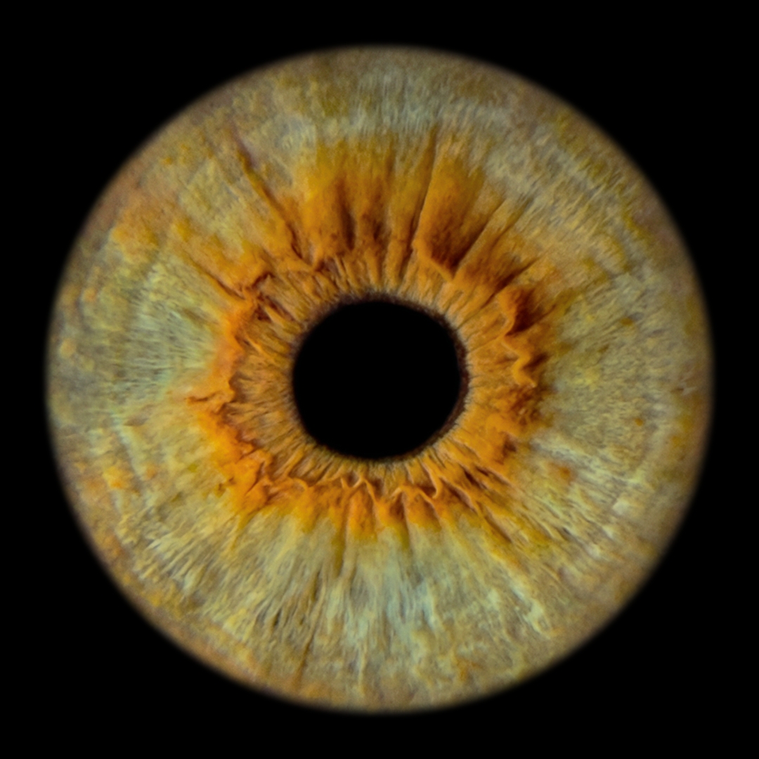 Sol Iris Photography Launches Capture & Send, Bringing Fine-Art Iris Portraits to Anyone with an iPhone Sol Iris Photography Launches Capture & Send, Bringing Fine-Art Iris Portraits to Anyone with an iPhone